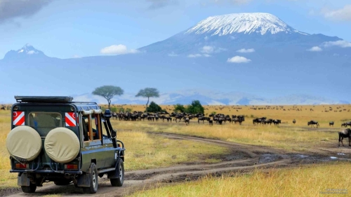 Game-drive-in-Amboseli