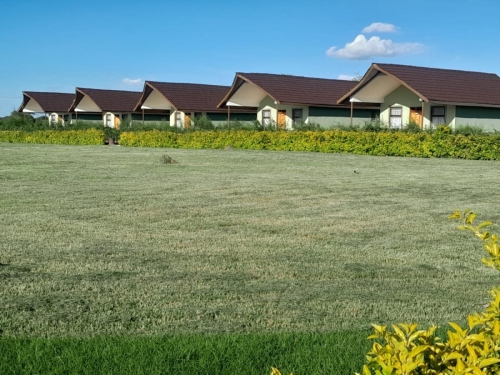 Penety-Landscape-4
