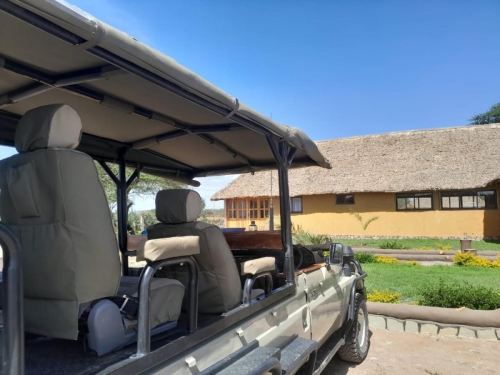 Safari-Landcruiser